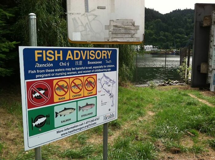Fish consumption advisories are determined by the level of mercury and PCBs in resident fish.