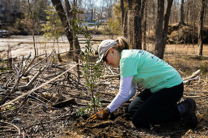 Tree planting supports the Bay and local communities. Photo by Will Parson, Chesapeake Bay Program.