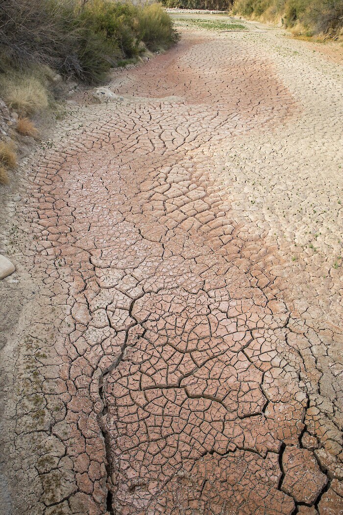 Dry riverbed, by Audra Melton.