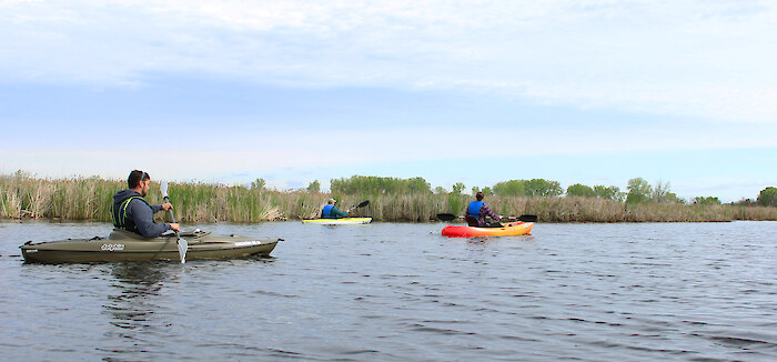 Kayakers paddle through Michigan's Black Creek Marsh. Photo credit: Clinton River Watershed Council.