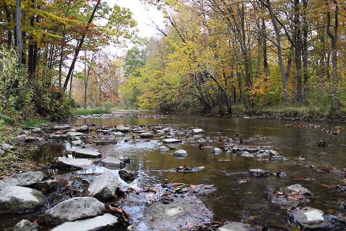 A flowing creek, a part of Wolcott Mill in Clinton, Michigan. Photo credit: Clinton River Watershed Council.