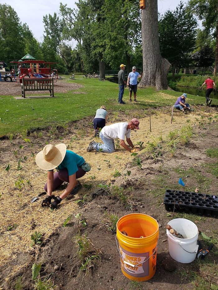 Tree Planting near a local park in Clinton, Michigan. Photo credit: Clinton River Watershed Council.
