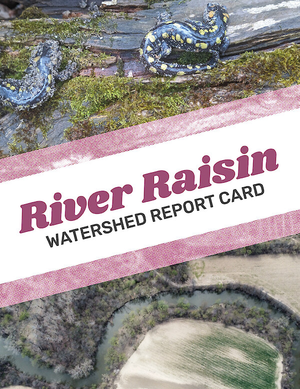 River raisin watershed report card