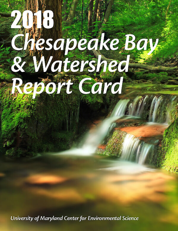 2018 Chesapeake Bay & Watershed Report Card