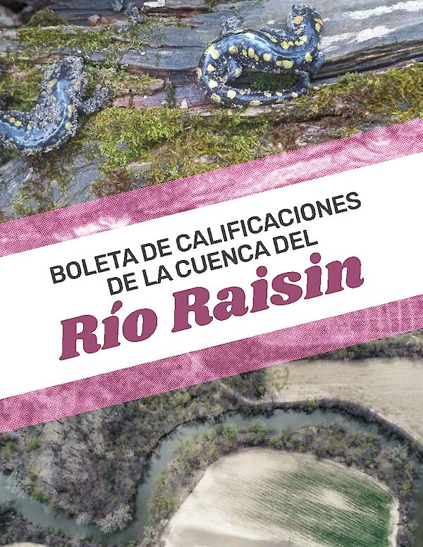 Boleta De Calificaciones De La Cuenca Del Rio Raisin