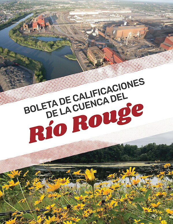 Boleta De Calificaciones De La Cuenca Del Rio Rouge