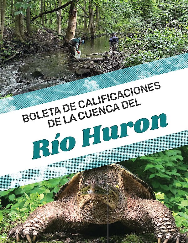 Boleta De Calificaciones De La Cuenca Del Rio Huron