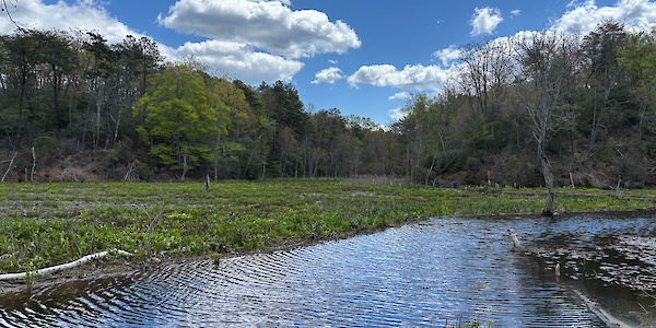 Chesapeake Bay