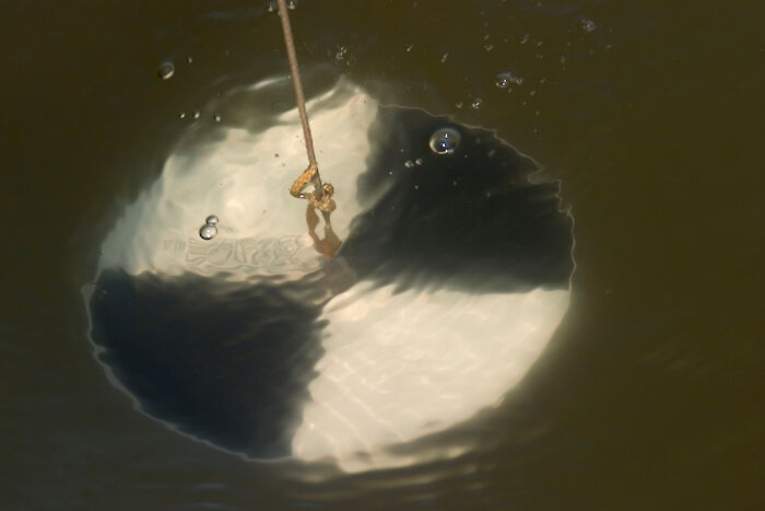 Water clarity is measured using a secchi disk.
