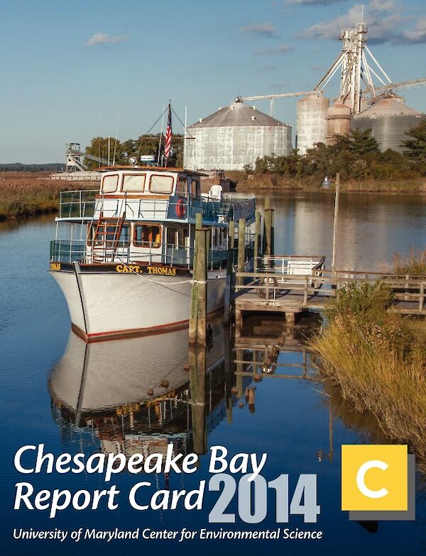 Your Not-So-Average C+ 2021 Chesapeake & Watershed Report Card, Blog