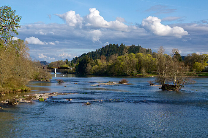 The Willamette River from Eugene, OR.