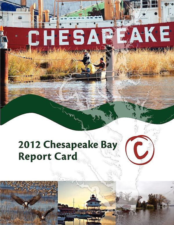 Your Not-So-Average C+ 2021 Chesapeake & Watershed Report Card, Blog