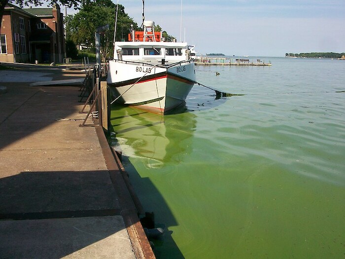 A boat docked in green, algae-filled water. Photo by Justin Chaffin via Flickr CC BY