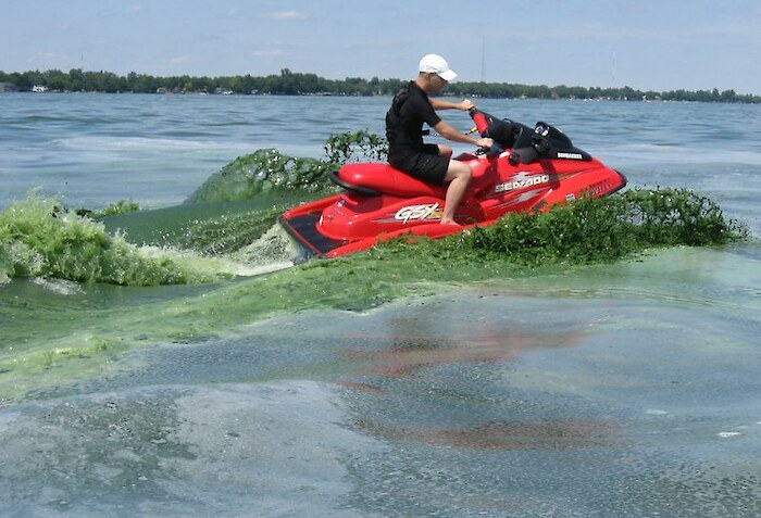 A jet ski disturbs water full of an algal bloom. Photo by the Lake Improvement Association via CC BY-NC.