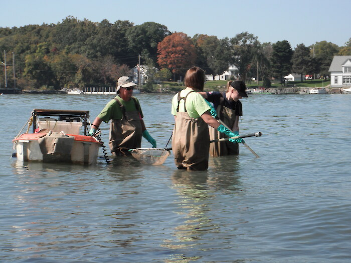 Fish surveys conducted by the Ohio Sea Grant. Photo by Eugene Braig via Flickr CC BY-NC