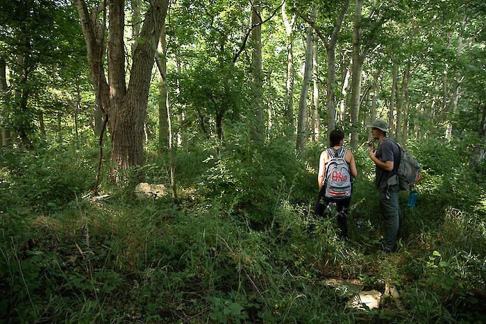 People enjoy the pleasant hiking trails in Ohio. Photo by Ohio Sea Grant via Flickr CC BY-NC