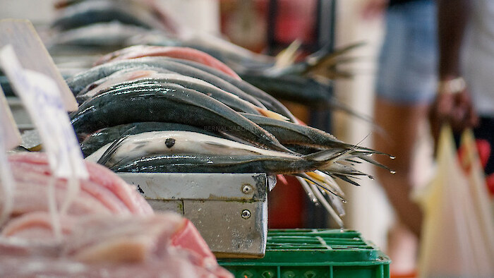Fresh-caught fish for sale at a market. Photo by Bernal Saboria via Flickr CC BY-SA
