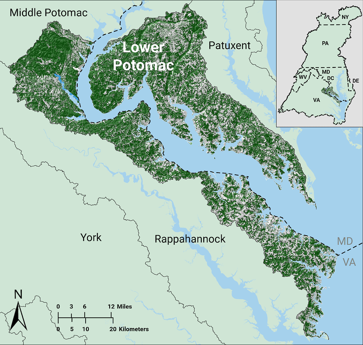 Lower Potomac • EcoHealth Report Cards