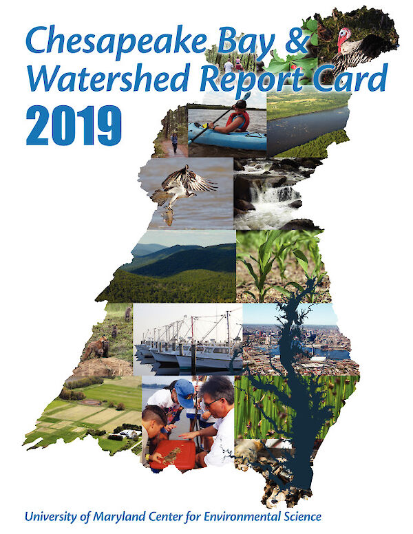 2019 Chesapeake Bay & Watershed Report Card