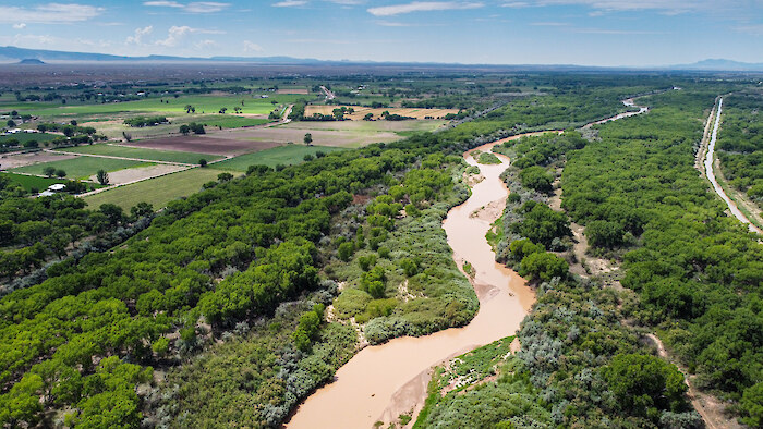 Rio Grande near Bosque, NM, by Paul Tashjian.