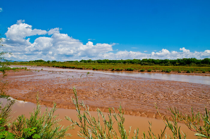 Rio Grande, by Paul Tashjian.