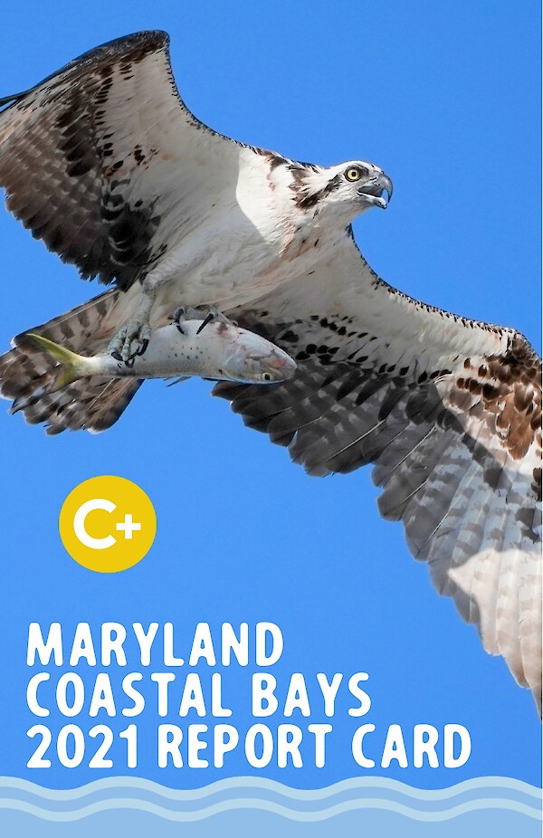 2021 Maryland Coastal Bays Report Card
