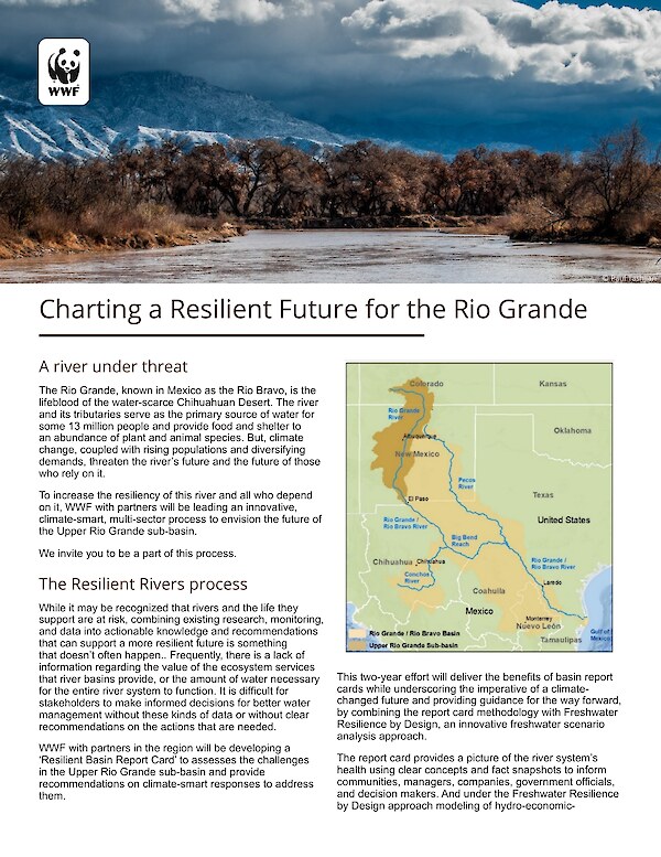 Charting a Resilient Future for the Rio Grande
