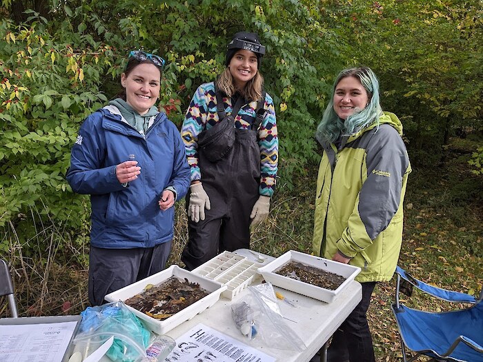 Volunteers participate in the Fall Bug Hunt at the Plymouth Site of the Rouge River. Photo credit: Friends of the Rouge River.