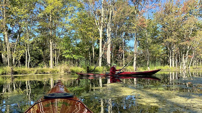 Kayakers along a tree-lined section of the Detroit River Watershed. Photo credit: Friends of the Detroit River.