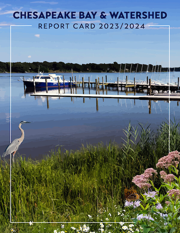 2023/2024 Chesapeake Bay & Watershed Report Card