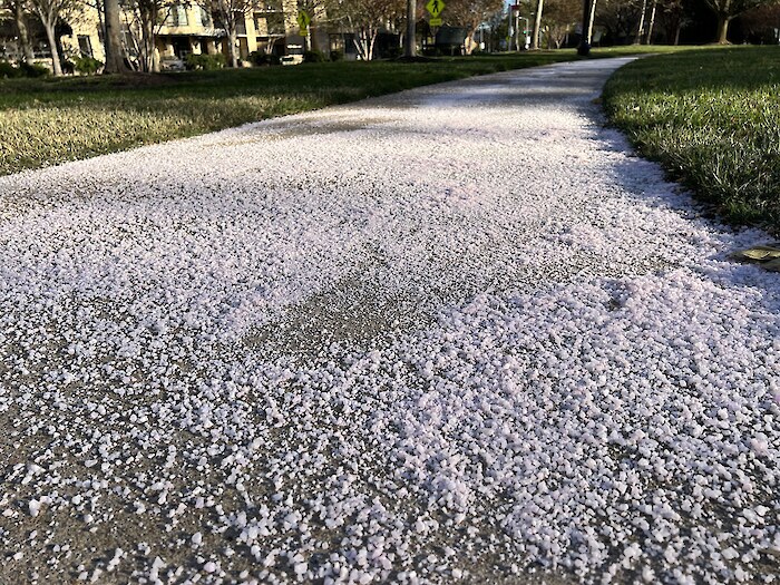 A large salt spill on a sidewalk. Image: Izaak Walton League of America