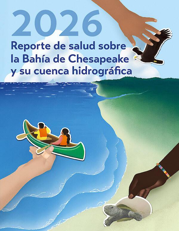 Reporte de salud de 2026 sobre la Bahía de Chesapeake y su cuenca hidrográfica